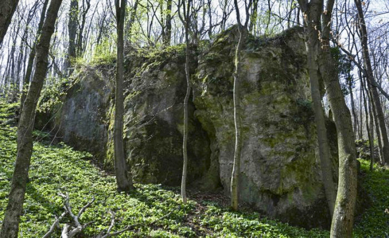 Fotó: Bakony-Balaton Geopark