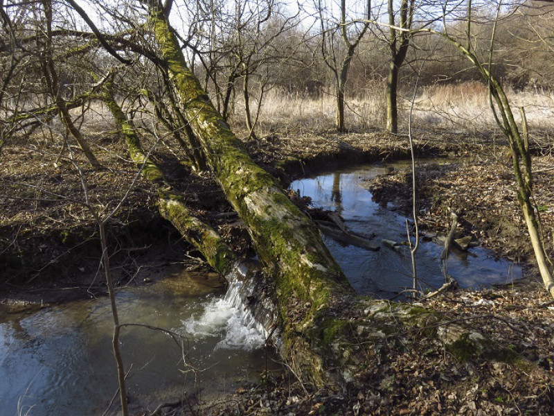 Fotó: Bakony-Balaton Geopark