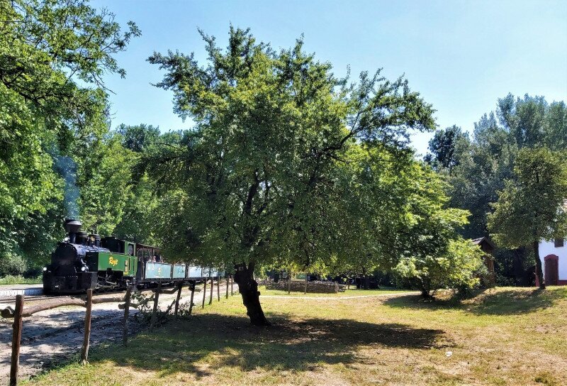 Fotó_ Baricz Árpád - Gemenc Zrt.