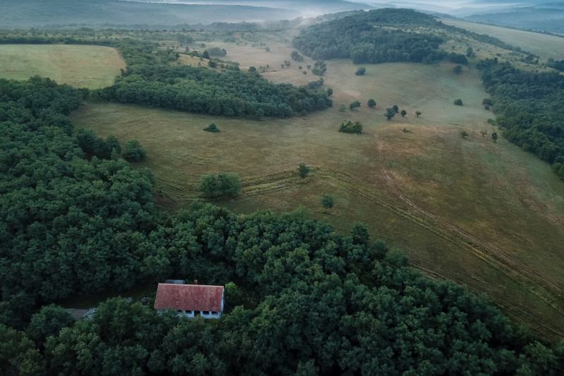 Fotó: Bóta István