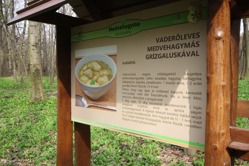 Fotó: Dabis Balázs Silvius