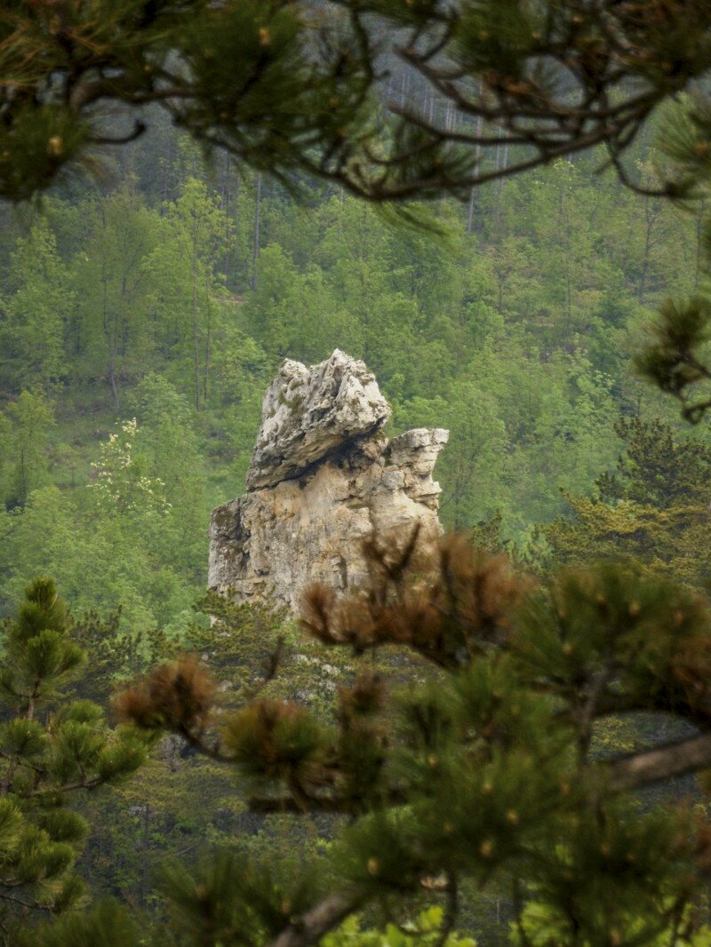 Fotó: DINPI