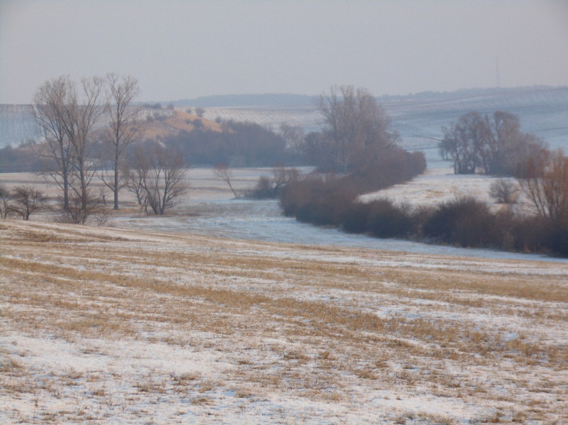 Fotó: DINPI / dunaipoly.hu