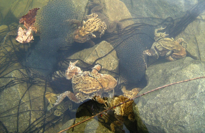 Fotó: dunaipoly.hu