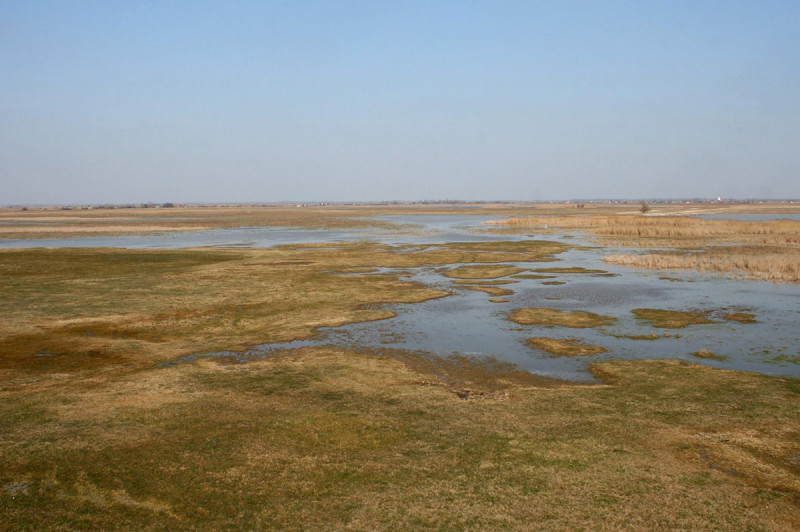 Fotó: Facebook / Kiskunsági Nemzeti Park Igazgatóság