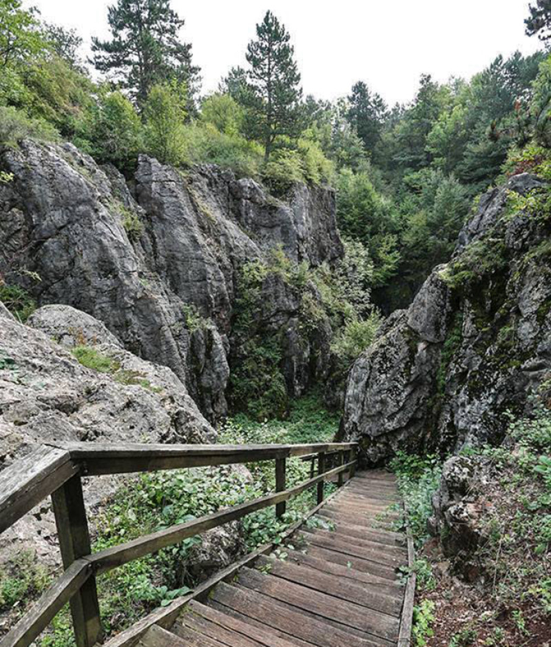 Fotó: facebook.com / Bakony Balaton Geopark