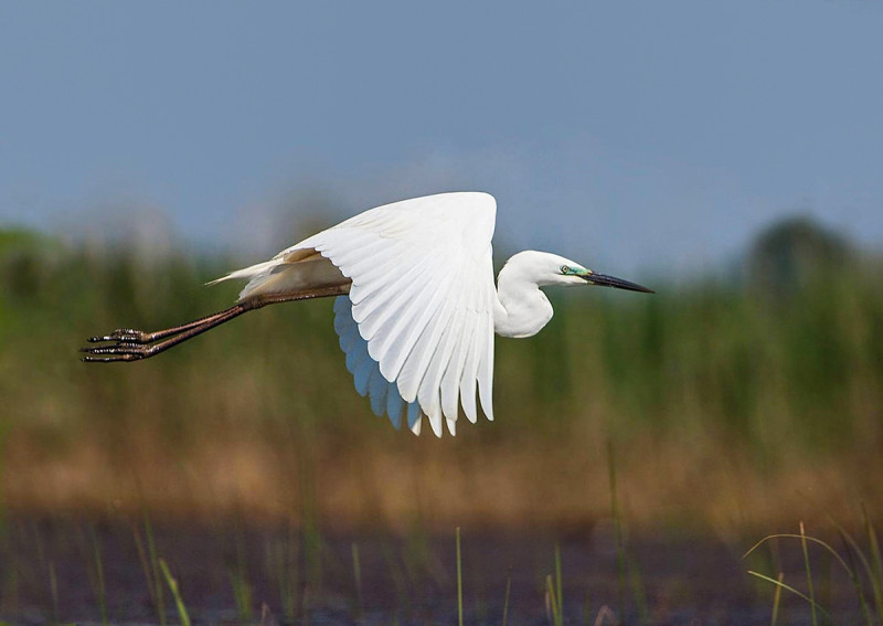 Fotó: facebook.com / Hortobágyi Nemzeti Park Igazgatósága