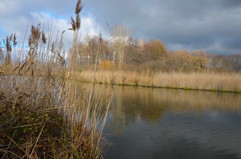 Fotó: facebook.com / Őrségi Nemzeti Park