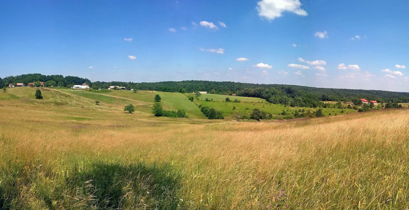 Fotó: facebook.com / Prijatelji/ce Krajinskega parka Goričko /Friends of Nature park Goričko