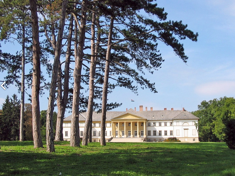 Fotó: foresterkozpont.hu