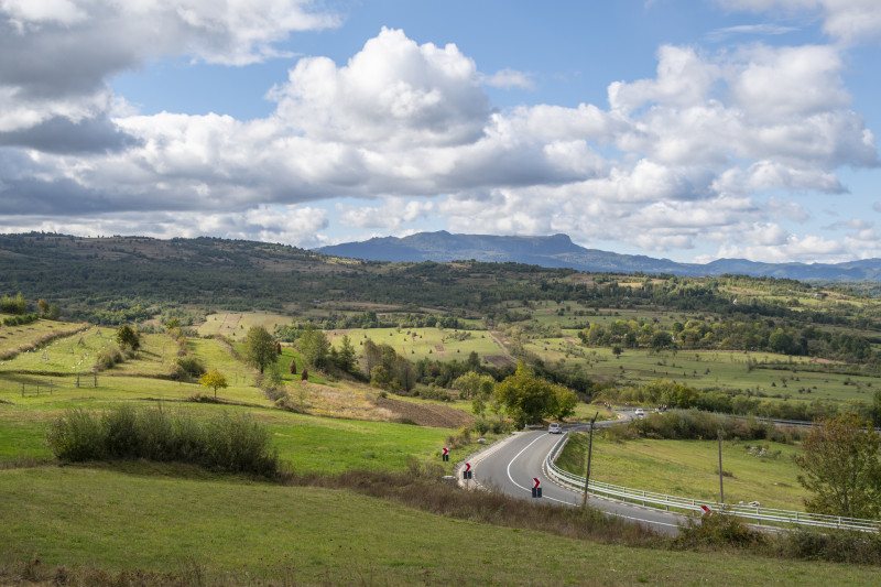 Fotó: Francz Ilona
