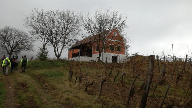 Fotó: Gombos Kálmán