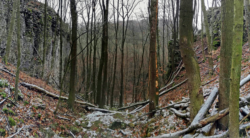 Fotó: Gombos Kálmán