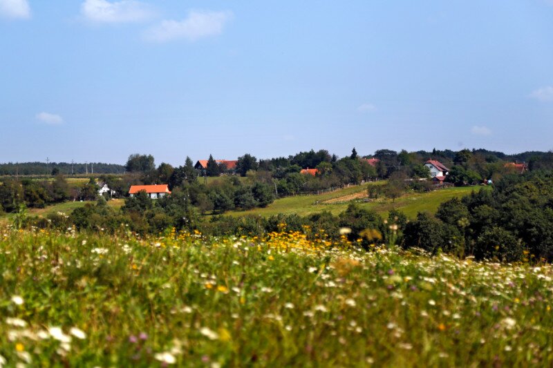 Fotó: Gulyás Attila