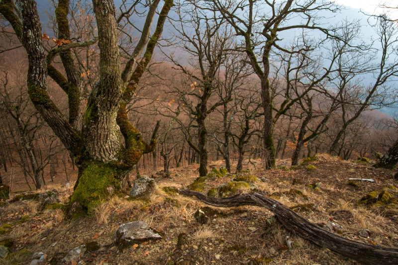 Fotó: Gyárfás-Tóth Gábor