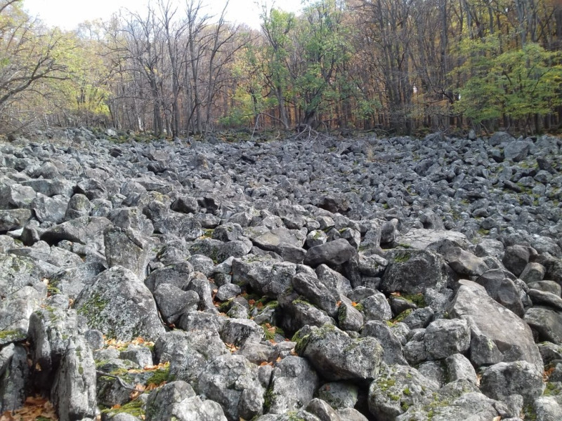 Fotó: Jakab László / pangea.blog.hu