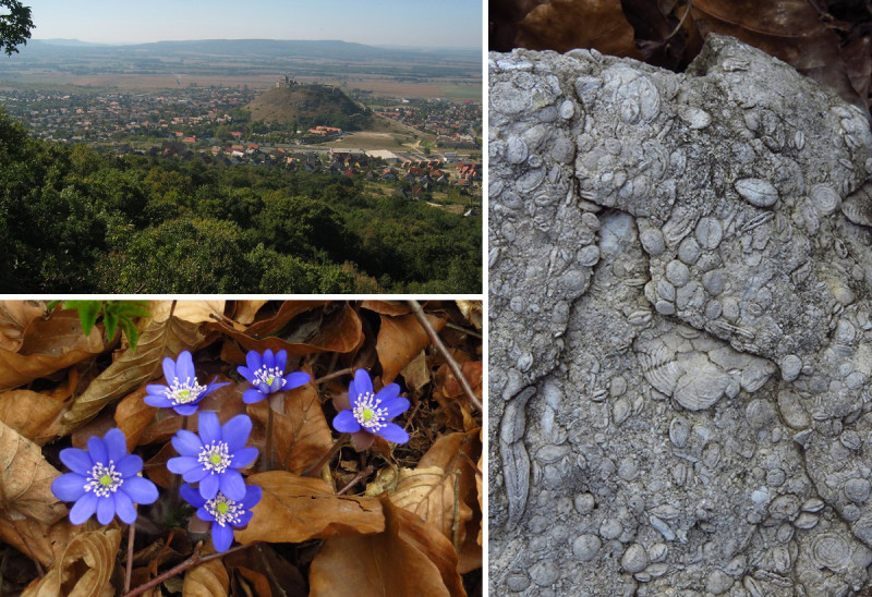 Fotók: Balaton-Bakony Geopark