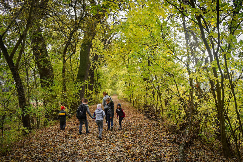 Fotó: Kiskunsági Nemzeti Park Igazgatósága
