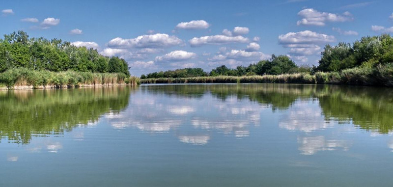 Fotó: knp.hu