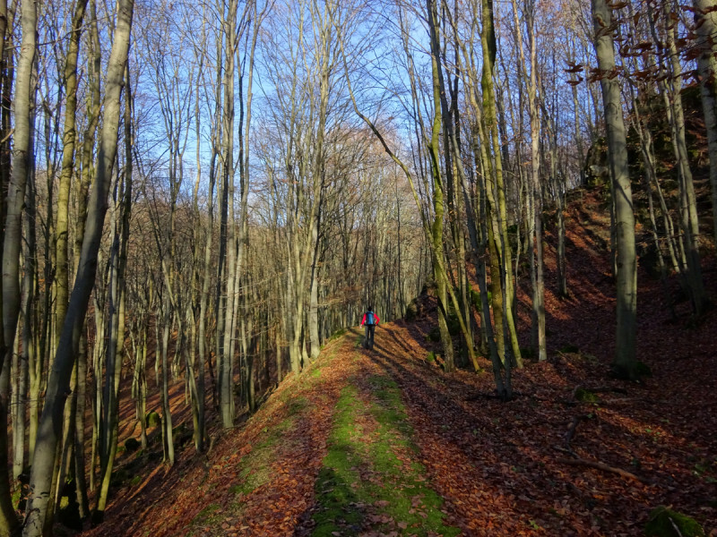 Fotó: Lánczi Péter