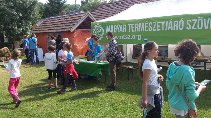 Fotó: MTSZ