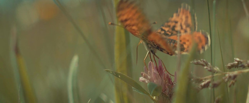 Fotó: Őrségi Nemzeti Park