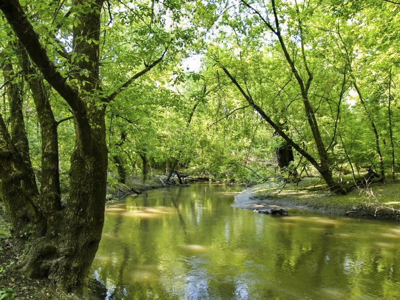 Fotó: Panoramio / guriga56