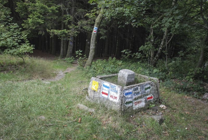 Fotó: Papp Géza