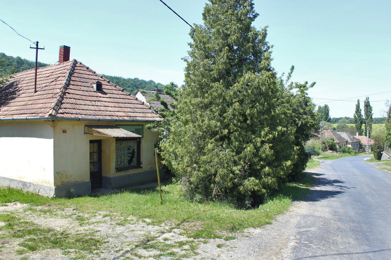 Fotó: Papp Géza