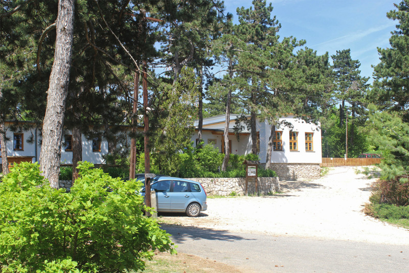 Fotó: Papp Géza