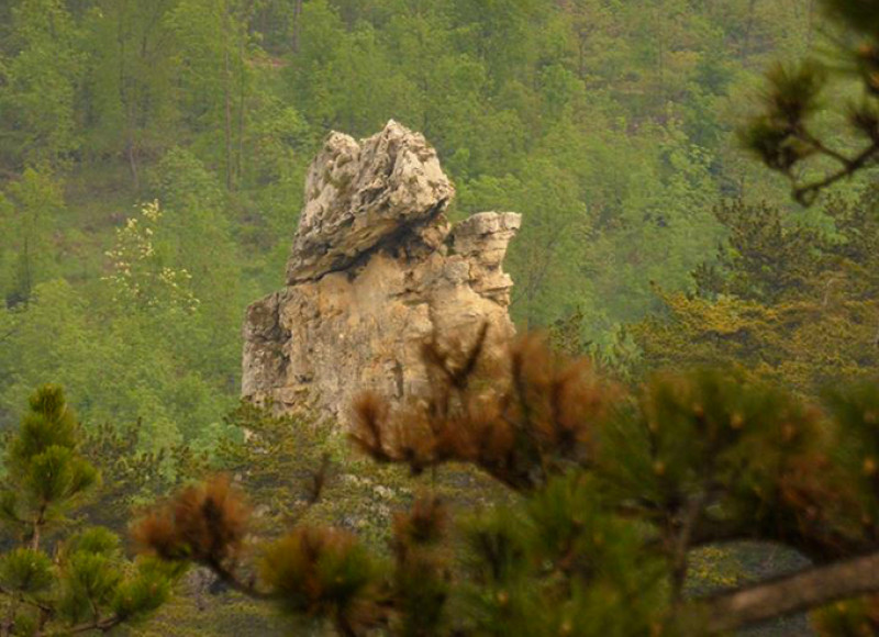 Fotó: Pilisi Len Látogatóközpont