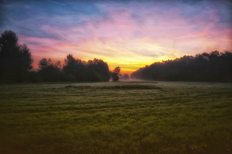 Fotó: pixabay