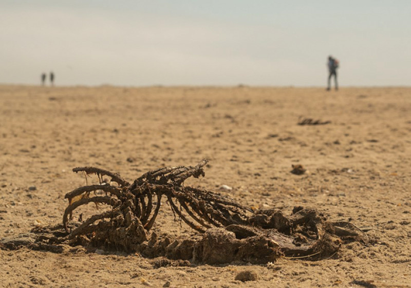Fotó: RacingThePlanet