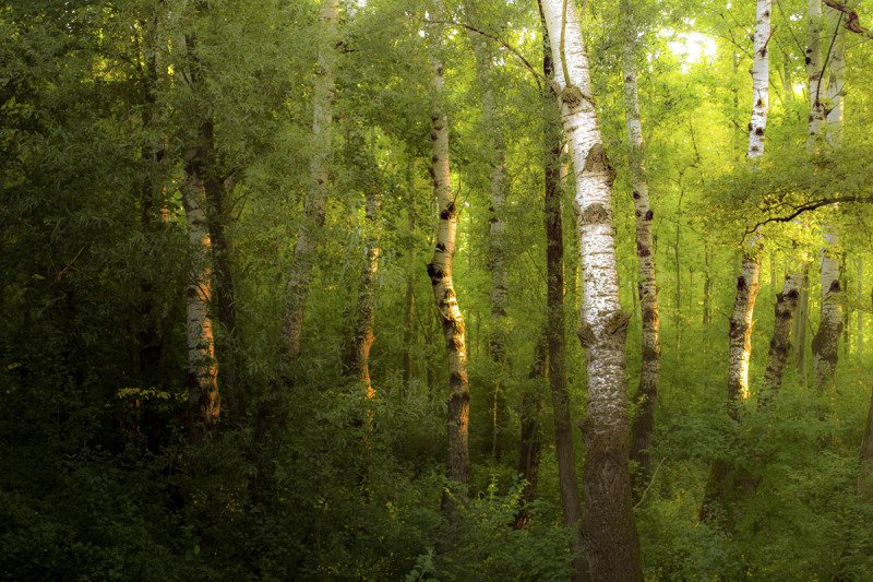 Fotó: Schreck Csilla