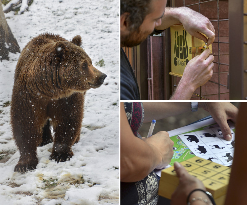 Fotó: Surányi Linda, Budakeszi Vadaspark