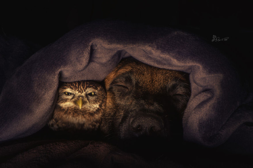 Fotó: Tanja Brandt / www.ingoundelse.de