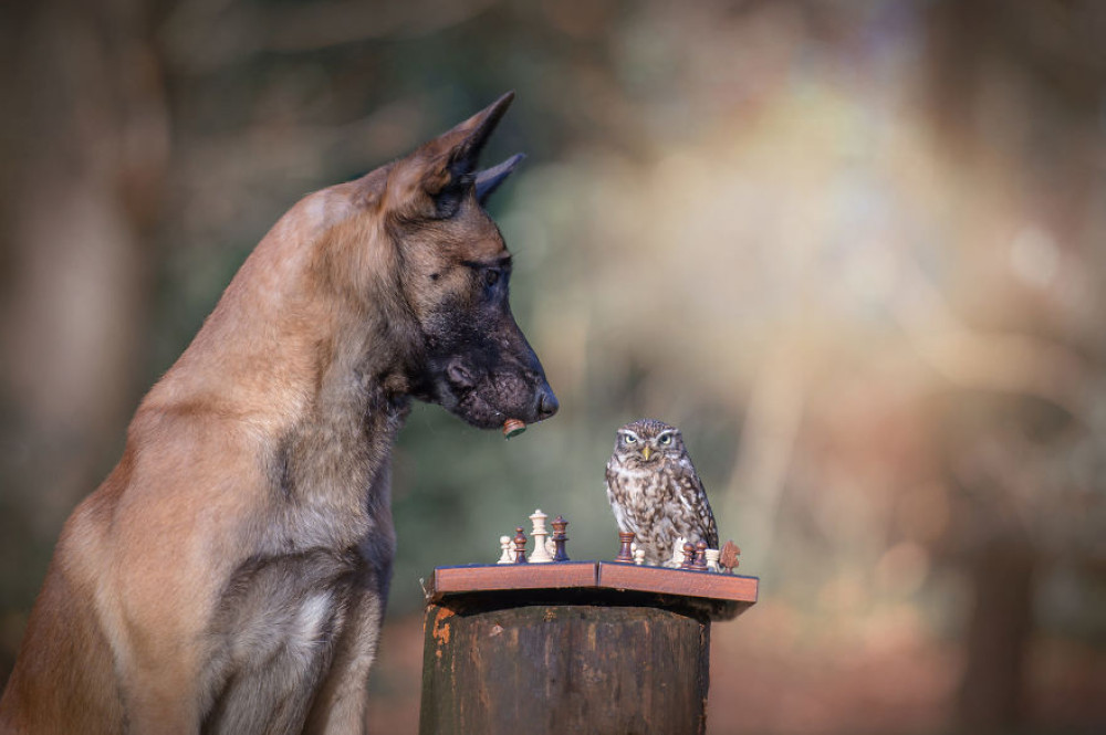 Fotó: Tanja Brandt / www.ingoundelse.de