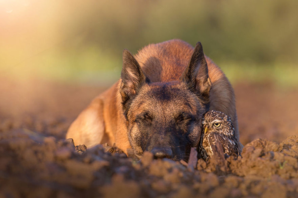 Fotó: Tanja Brandt / www.ingoundelse.de