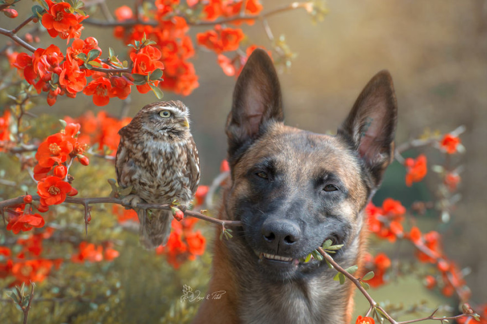 Fotó: Tanja Brandt / www.ingoundelse.de