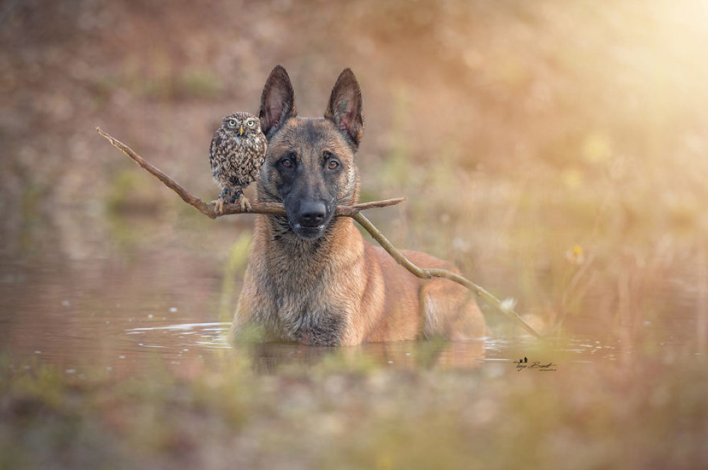Fotó: Tanja Brandt / www.ingoundelse.de