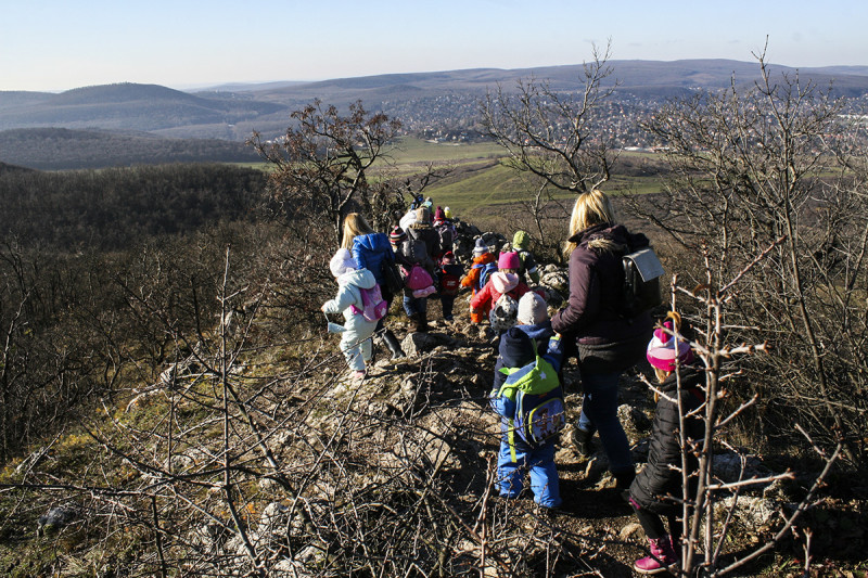 Fotó: Zsiborács Etelka