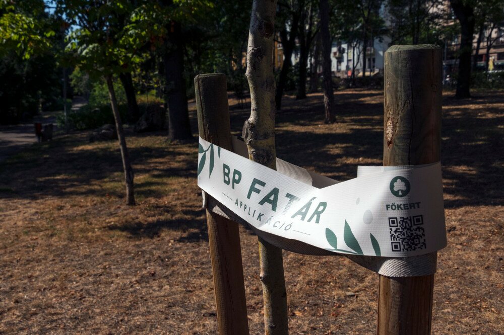 Frissen ültetett fa a BP Fatár reklámjával