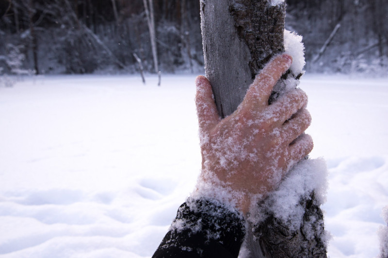 frozen, hand, cold