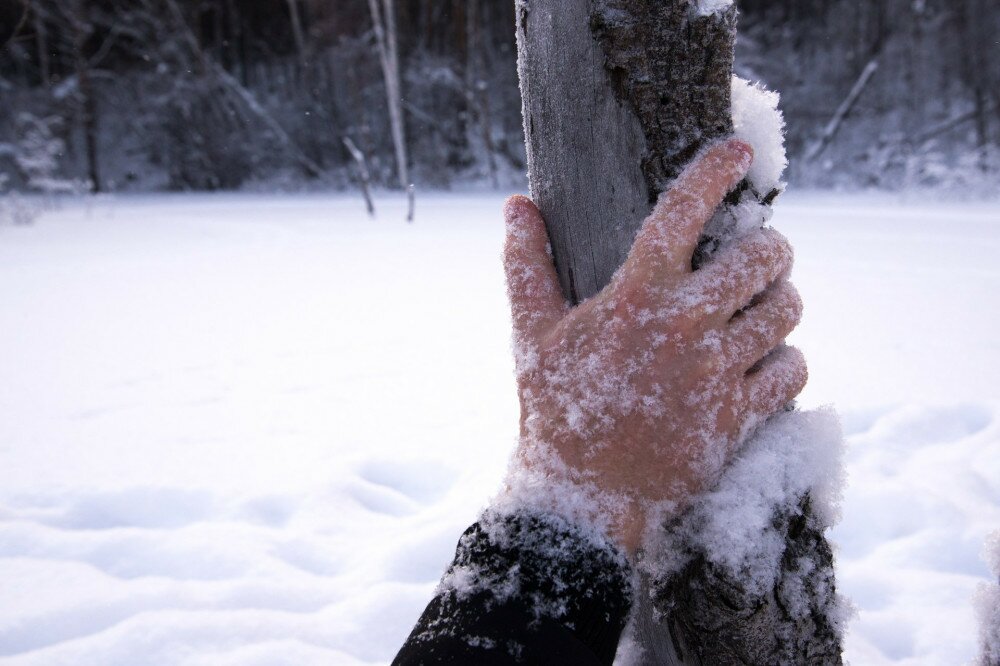 frozen, hand, cold