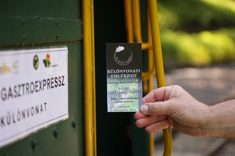 Gasztroexpressz a Bükkben