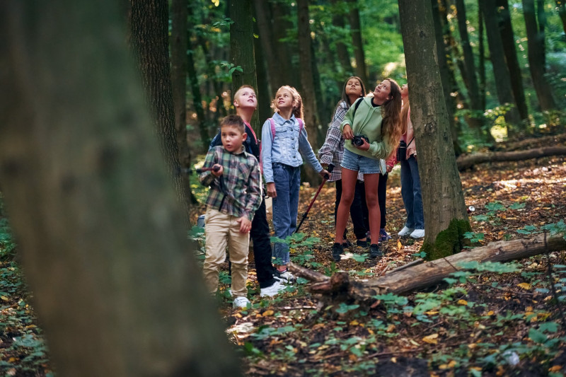 Gyerekek az erdőpben