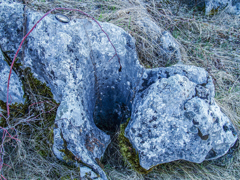 gyokerkarr_Durmitor