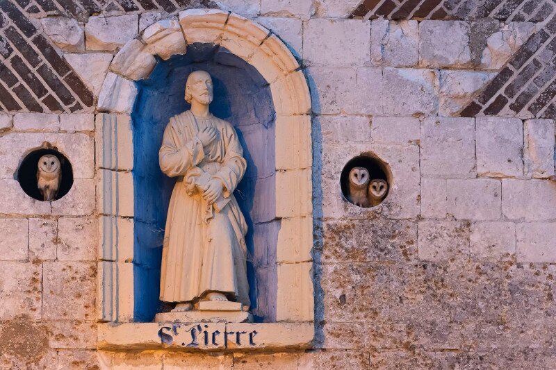 Gyöngybaglyok egy kápolnában