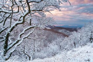 Gyönyörű téli képek hazai természetfotósoktól