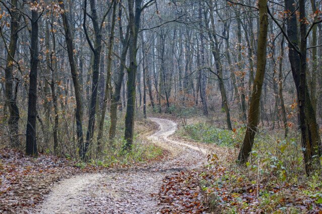 Három forrás útján a Pilisben
